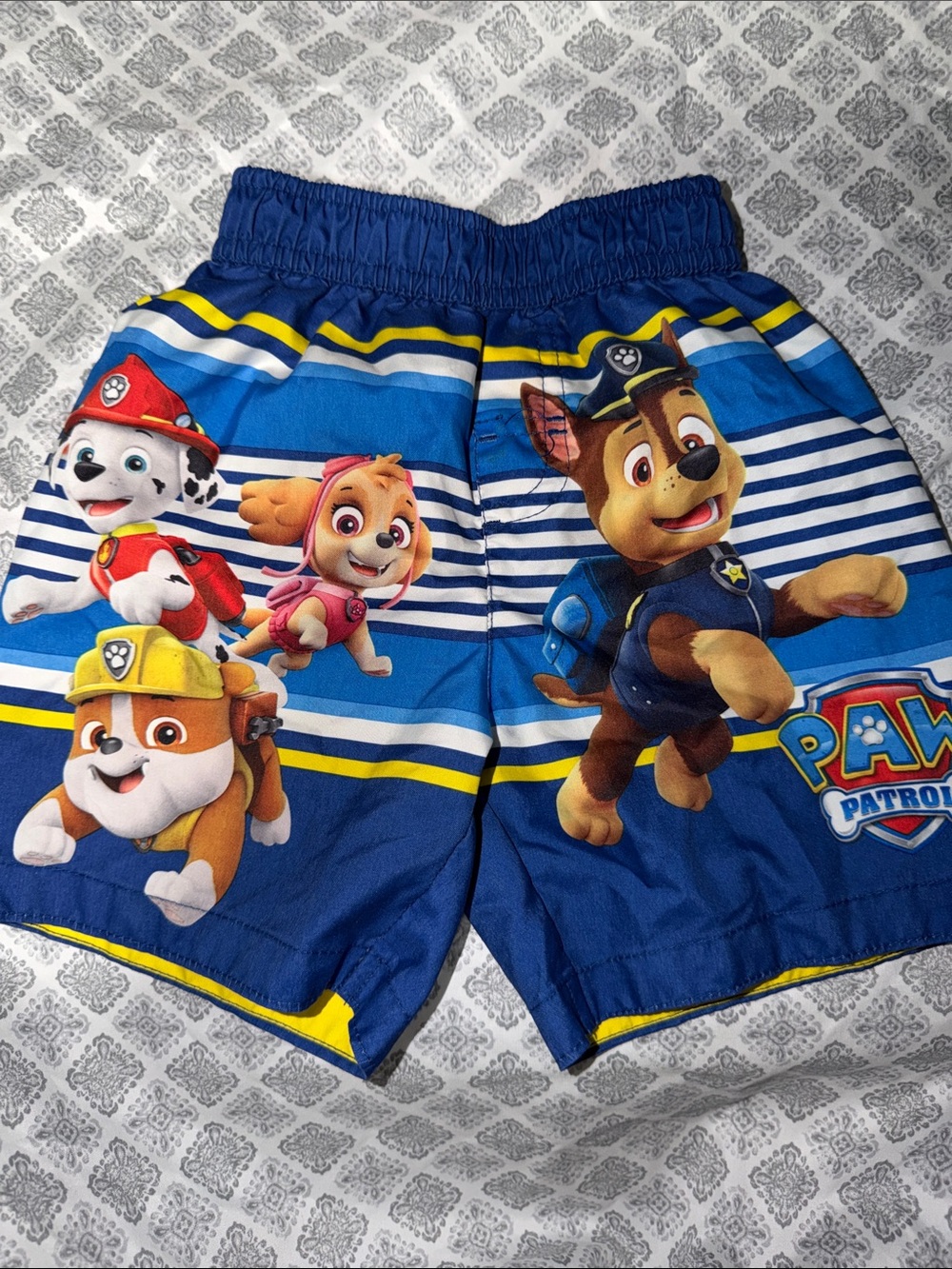 Paw Patrol Blue Striped  Kids Swim Shorts with Character Print